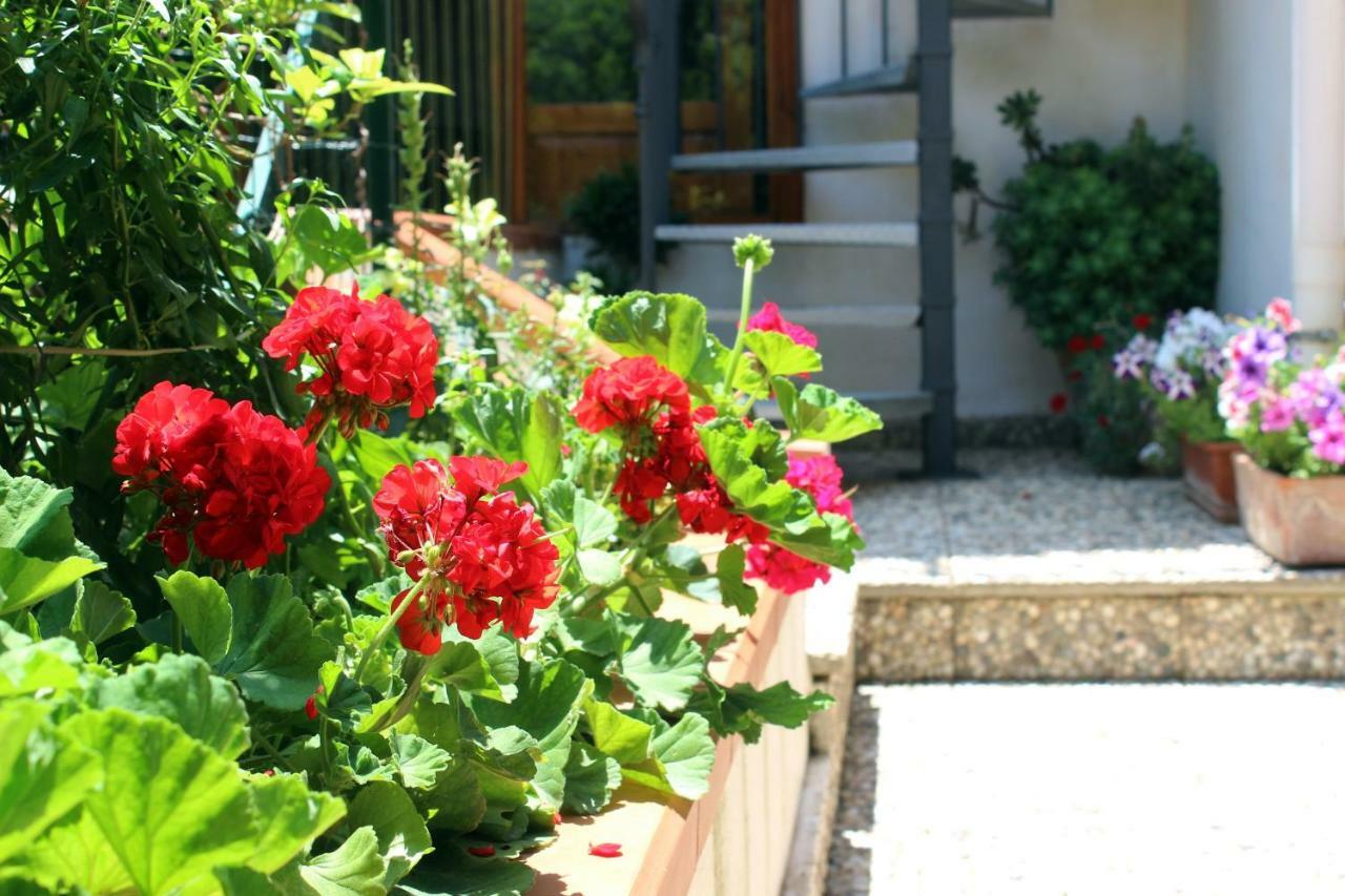 Raggio Di Sole Bed & Breakfast Macari Exteriör bild